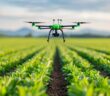 GPS-gestütztes Precision Farming – Effizienz durch exakte Navigation (Foto: AdobeStock - 913576282 Pachara)